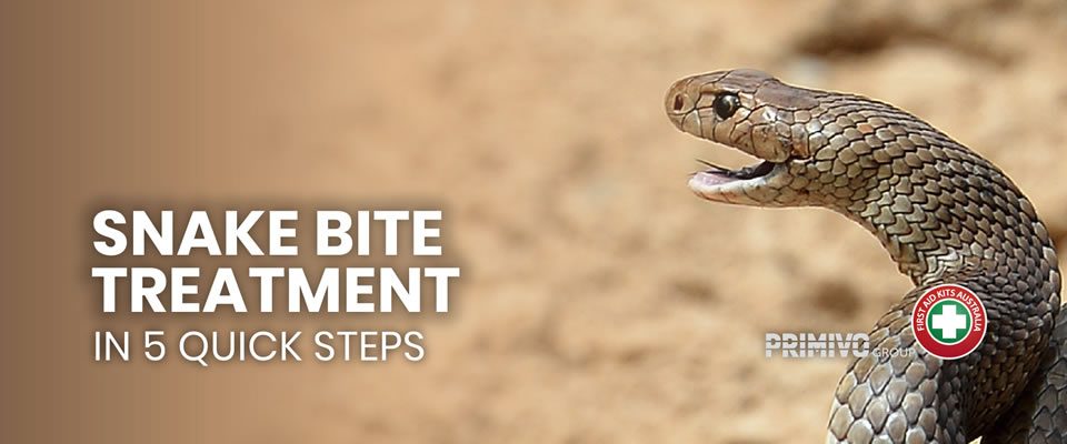 Snake Bite Treatment In 5 Quick Steps