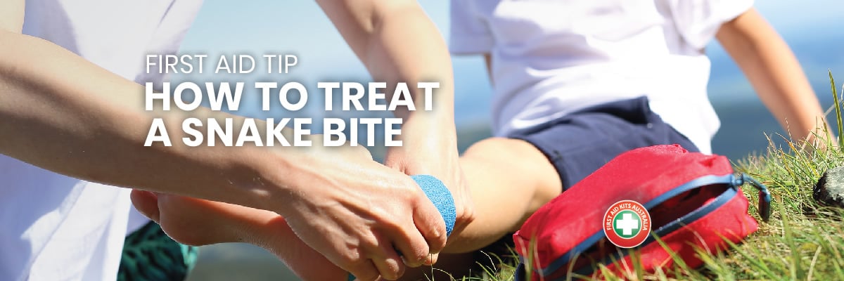 First Aid Tip: How to Treat a Snake Bite